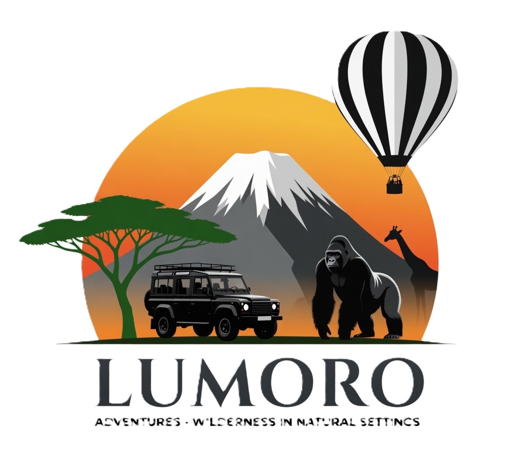 Lumoro Tours Logo